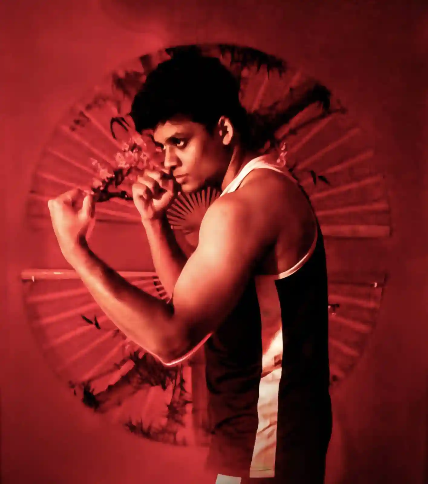 Developing the Holistic Fighter